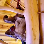 Chalet Huskylodge *