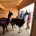 Huskylodge *