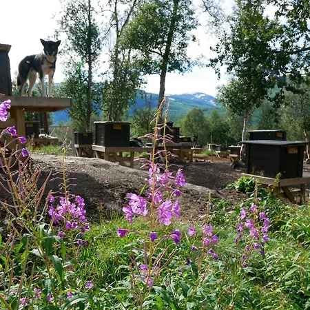 Huskylodge * Bardu