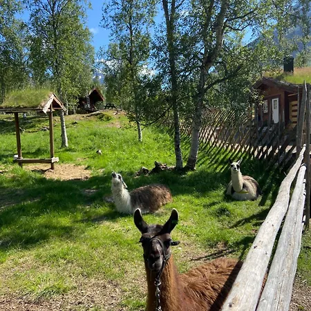בקתה Huskylodge Bardu