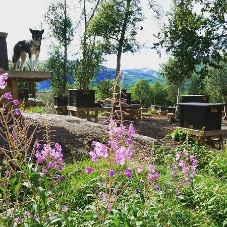 Huskylodge