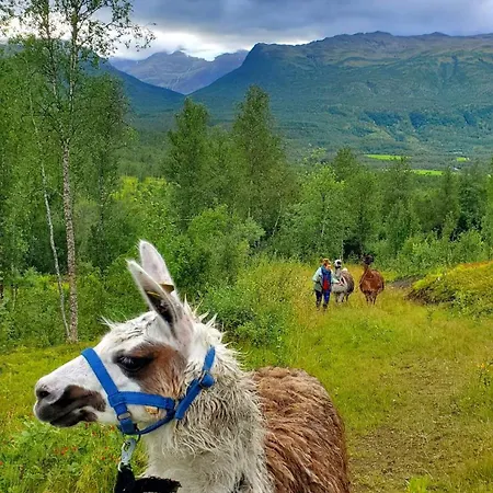 Alpesi faház Huskylodge *