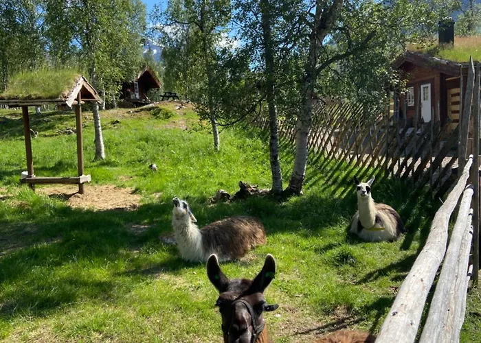 בקתה Huskylodge Bardu