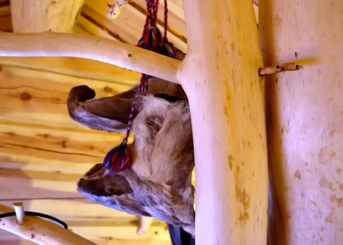 בקתה Huskylodge *