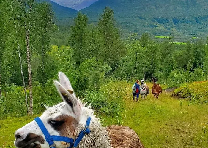 בקתה Huskylodge *